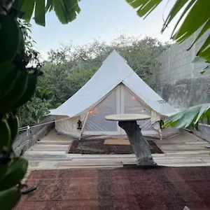 Yurt In Avocado Garden Campo de lujo